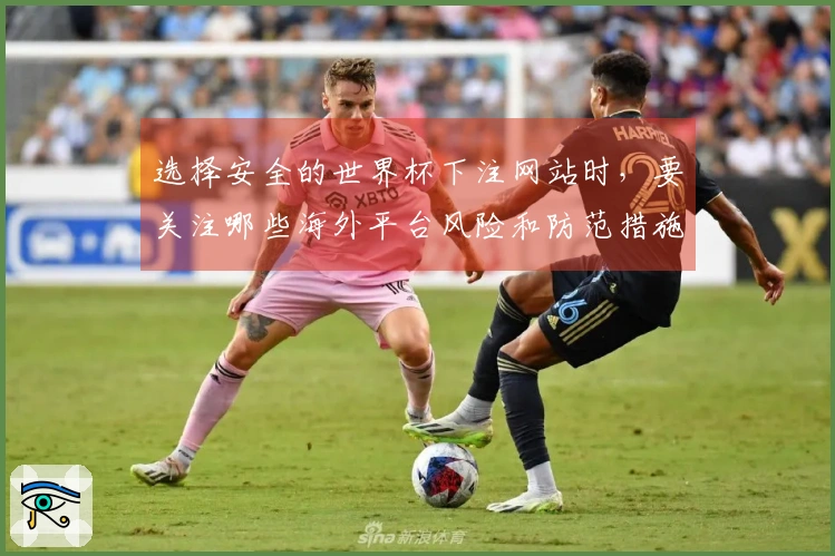 选择安全的世界杯下注网站时，要关注哪些海外平台风险和防范措施？