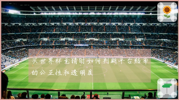 买世界杯竞猜时如何判断平台赔率的公正性和透明度