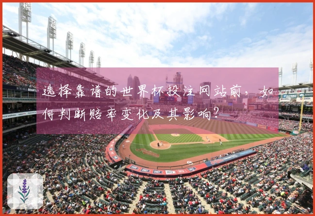 选择靠谱的世界杯投注网站前，如何判断赔率变化及其影响？