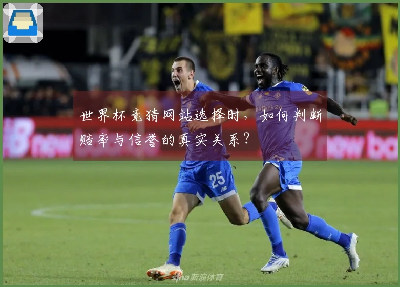 世界杯竞猜网站选择时，如何判断赔率与信誉的真实关系？