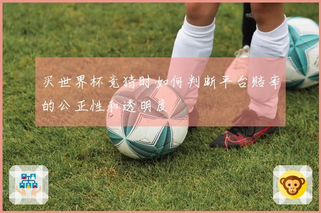 买世界杯竞猜时如何判断平台赔率的公正性和透明度