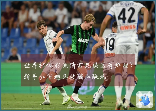 世界杯体彩竞猜常见误区有哪些？新手如何避免被骗和踩坑