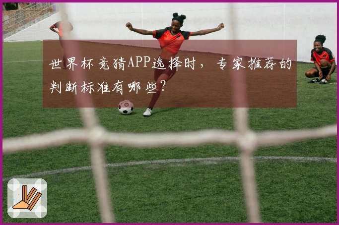 世界杯竞猜APP选择时，专家推荐的判断标准有哪些？