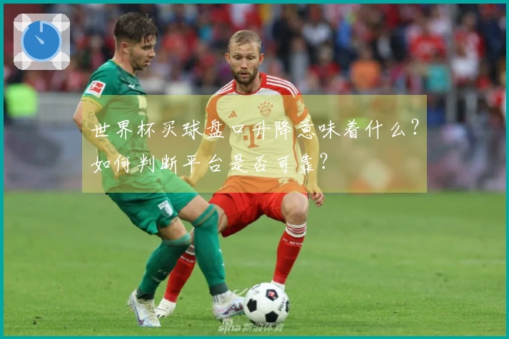 世界杯买球盘口升降意味着什么？如何判断平台是否可靠？
